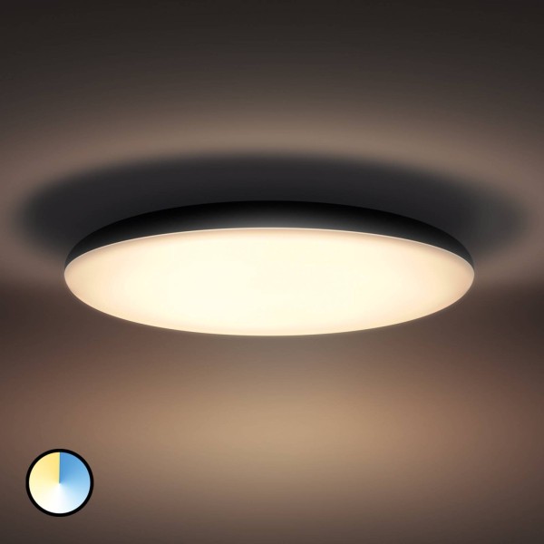 Philips hue white ambiance cher plafondlamp