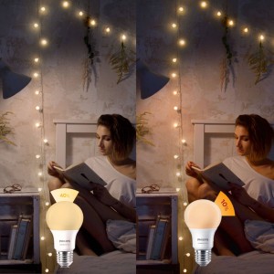 Philips SceneSwitch E27 8W LED lamp 2.700K mat