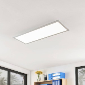 Prios LED paneel Gelora, 80 cm, 4.000 K, zilverkleurig, aluminium