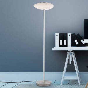 Q-Smart-Home Paul Neuhaus Q-ETIENNE LED vloerlamp, staal