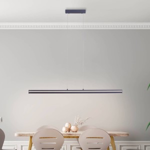 Q-Smart-Home Paul Neuhaus Q-VITO balkhanglamp, antraciet