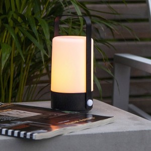 STAR TRADING LED tafellamp Flame Lantern, draagbaar, batterij