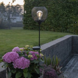 STAR TRADING LED tuinpadverlichting solar Sunlight aardspies