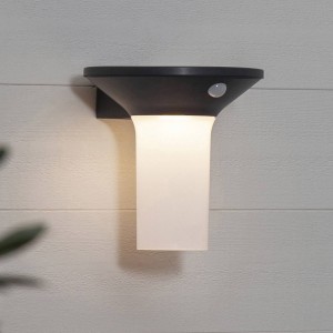 STAR TRADING Valta LED wandlamp op zonne-energie met bewegingsmelder