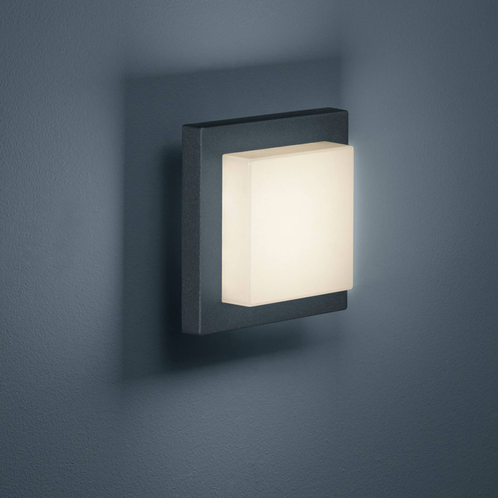 Trio Lighting LED buiten wandlamp Hondo, antraciet