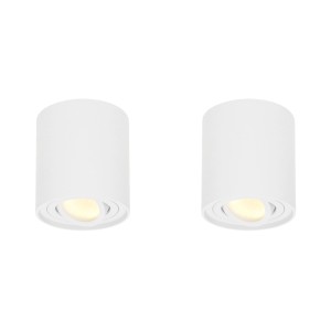 HOFTRONIC 2x Dimbare LED Opbouwspot plafond Ray Wit incl. GU10 spot 5W 2700K IP20 kantelbaar