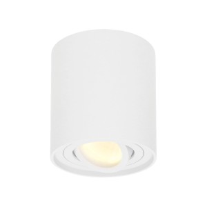 Hofronic Dimbare LED Opbouwspot plafond Ray Wit incl. GU10 spot 5W 2700K IP20 kantelbaar