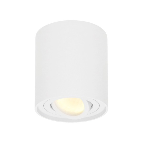 Hoftronic dimbare led opbouwspot plafond ray wit i 8