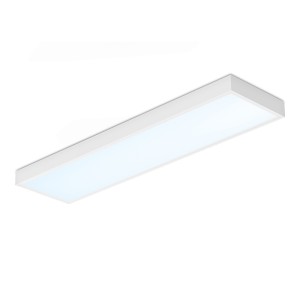 HOFTRONIC LED Paneel – 30×120 cm – 36 Watt – 4860lm (135lm/W) – 6500K daglicht wit – Incl. opbouwframe – Flikkervrij – UGR22 – 5 jaar garantie