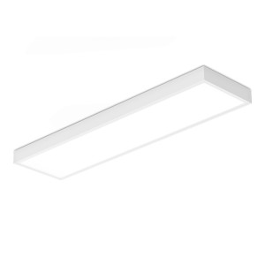 HOFTRONIC LED Paneel met Philips driver – 30×120 cm – 36 Watt – 4860lm (135lm/W) – 4000K neutraal wit – Incl. opbouwframe – Flikkervrij – UGR22 – 5 jaar garantie