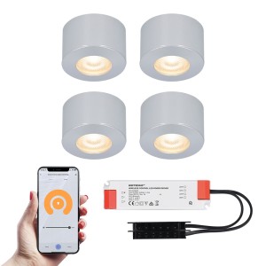 HOFTRONIC SMART 4x Navarra RVS Smart LED Opbouwspots complete set – Wifi & Bluetooth – 12V – 3 Watt – 2700K warm wit – Veranda verlichting – Voor binnen en buiten