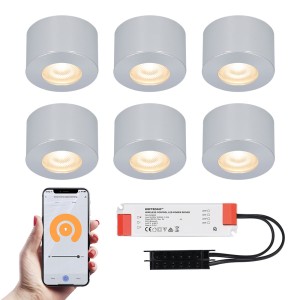 HOFTRONIC SMART 6x Navarra RVS Smart LED Opbouwspots complete set – Wifi & Bluetooth – 12V – 3 Watt – 2700K warm wit – Veranda verlichting – Voor binnen en buiten