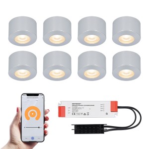 HOFTRONIC SMART 8x Navarra RVS Smart LED Opbouwspots complete set – Wifi & Bluetooth – 12V – 3 Watt – 2700K warm wit – Veranda verlichting – Voor binnen en buiten