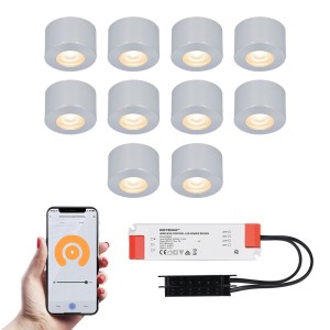 HOFTRONIC SMART 10x Navarra RVS Smart LED Opbouwspots complete set – Wifi & Bluetooth – 12V – 3 Watt – 2700K warm wit – Veranda verlichting – Voor binnen en buiten