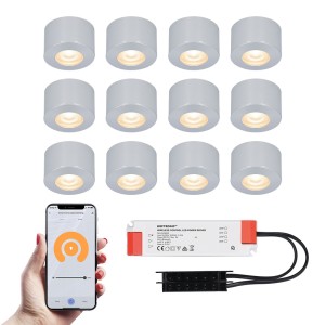 HOFTRONIC SMART 12x Navarra RVS Smart LED Opbouwspots complete set – Wifi & Bluetooth – 12V – 3 Watt – 2700K warm wit – Veranda verlichting – Voor binnen en buiten