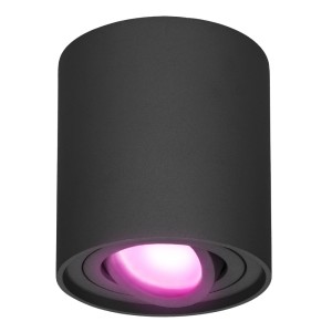 Hofronic Smart WiFi LED Opbouwspot plafond Ray zwart RGBWW incl. GU10 IP20 kantelbaar