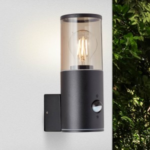 Brilliant Buitenwandlamp Sergioro, 1-lamp met sensor