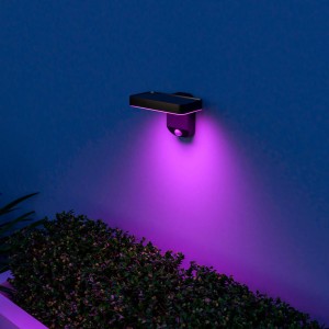 Calex Smart buitenwandlamp op zonne-energie, sensor, RGBW