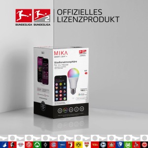 JUST LIGHT. LED lamp Mika voor stadionsfeer, E27 10W RGBW