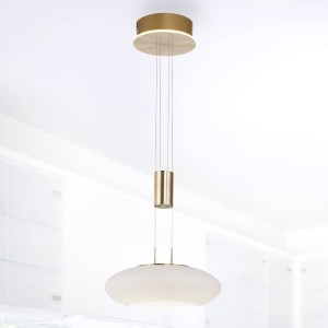 Q-Smart-Home Paul Neuhaus Q-ETIENNE LED hanglamp 1-lamp messing