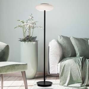 Q-Smart-Home Paul Neuhaus Q-ETIENNE LED vloerlamp, zwart