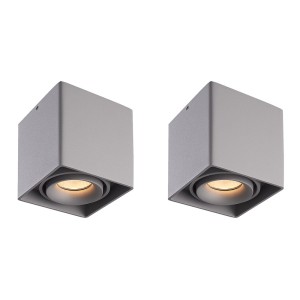 HOFTRONIC 2x Dimbare LED opbouw plafondspot Esto Grijs incl. GU10 spot 5W 2700K IP20 kantelbaar