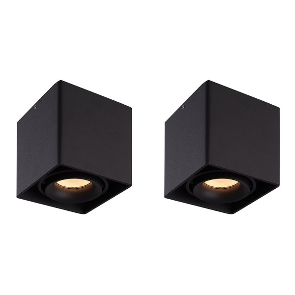 Hoftronic 2x dimbare led opbouw plafondspot esto z