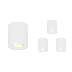 HOFTRONIC 4x Dimbare LED Opbouwspot plafond Ray Wit incl. GU10 spot 5W 2700K IP20 kantelbaar