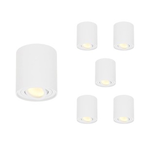 HOFTRONIC 6x Dimbare LED Opbouwspot plafond Ray Wit incl. GU10 spot 5W 2700K IP20 kantelbaar