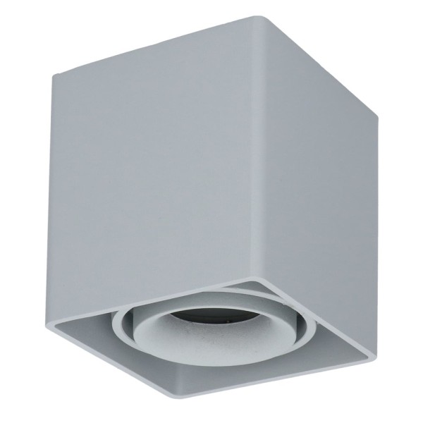 Hoftronic dimbare led opbouw plafondspot esto gu10