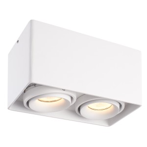 HOFTRONIC Dimbare LED opbouw plafondspot Esto Wit 2 lichts IP20 kantelbaar excl. lichtbron