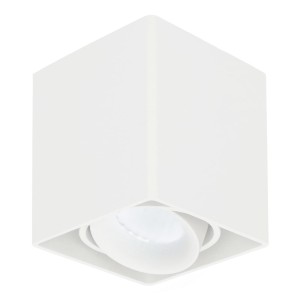 HOFTRONIC Dimbare LED Opbouwspot plafond Esto Wit incl. GU10 spot 5W 6000K IP20 kantelbaar