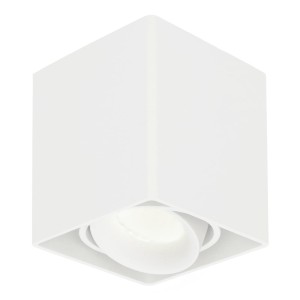 HOFTRONIC Dimbare LED Opbouwspot plafond Esto Wit incl. GU10 spot 5W 4000K IP20 kantelbaar