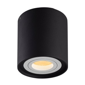 HOFTRONIC Dimbare LED Opbouwspot plafond Ray Zwart met witte afdekring IP20 kantelbaar excl. lichtbron