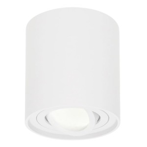 HOFTRONIC Dimbare LED Opbouwspot Ray Wit 5W 4000K IP20 kantelbaar