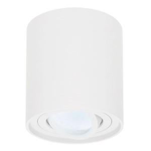 HOFTRONIC Dimbare LED Opbouwspot Ray Wit 5W 6000K IP20 kantelbaar