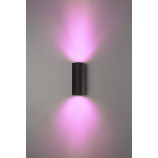 Hoftronic smart douglas smart wandlamp wandspot rg 1