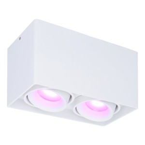 Hofronic Smart WiFi LED opbouw plafondspot Esto 2 lichts Wit incl. 2x 5,5W GU10 RGBWW spot IP20 kantelbaar