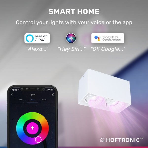 Hoftronic smart smart wifi led opbouw plafondspot 17