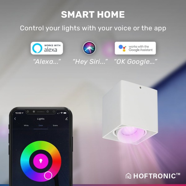 Hoftronic smart smart wifi led opbouw plafondspot 2