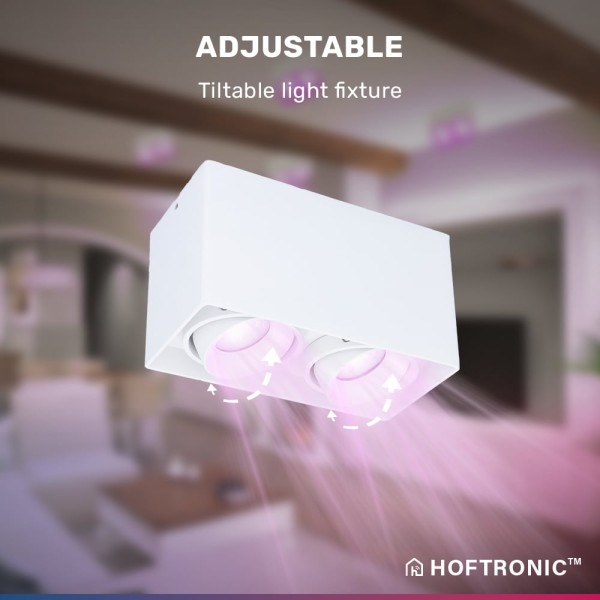 Hoftronic smart smart wifi led opbouw plafondspot 20