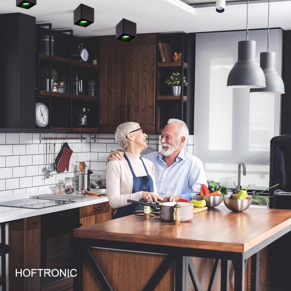 Hoftronic smart smart wifi led opbouw plafondspot 24