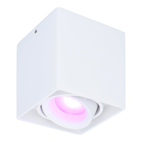 Hoftronic smart smart wifi led opbouw plafondspot