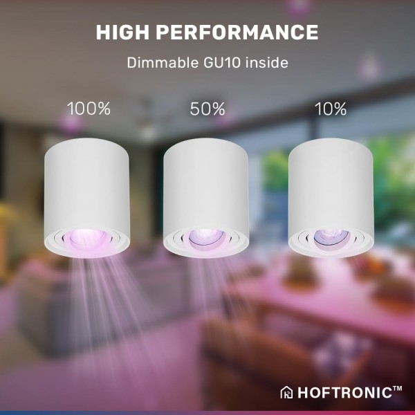 Hoftronic smart smart wifi led opbouwspot plafond 10