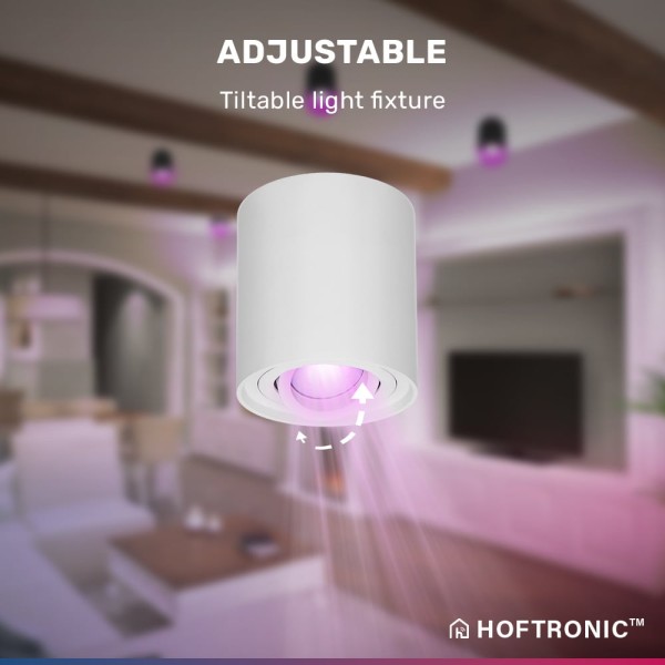 Hoftronic smart smart wifi led opbouwspot plafond 12