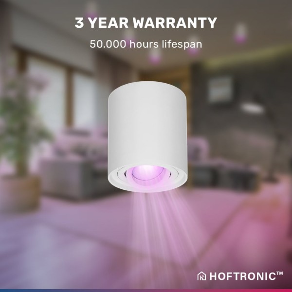 Hoftronic smart smart wifi led opbouwspot plafond 14