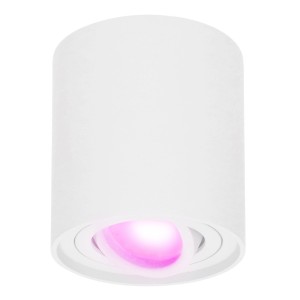 Hofronic Smart WiFi LED Opbouwspot plafond Ray Wit incl. 5,5W GU10 RGBWW spot IP20 kantelbaar Rond