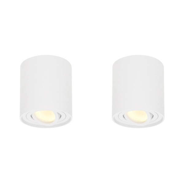 hoftronic 2x dimbare led opbouwspot plafond ray wi