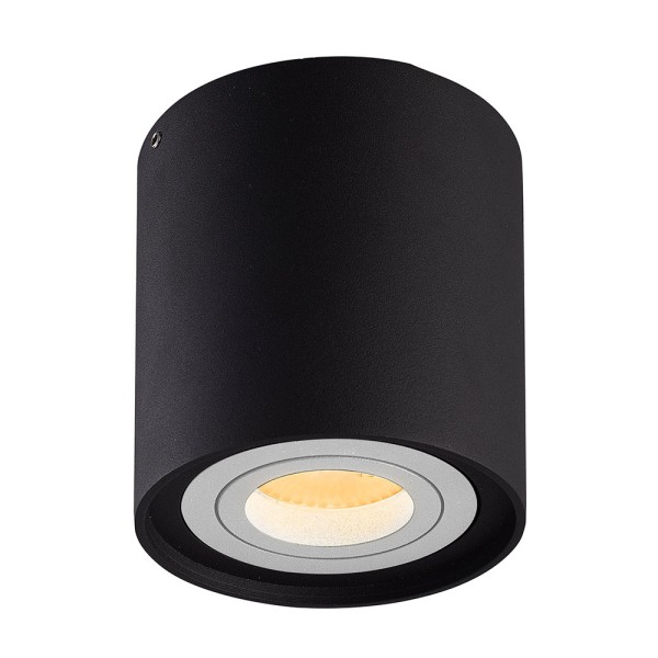 hoftronic dimbare led opbouwspot plafond ray zwart