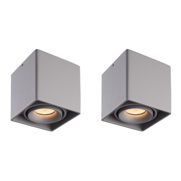 hoftronic 2x dimbare led opbouw plafondspot esto g